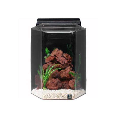 SeaClear Acrylic Aquarium Combo Cobalt