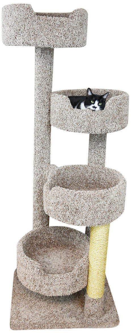 New Cat Condos 190209 EarthTone Spacious