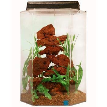 SeaClear Acrylic Aquarium Combo Cobalt