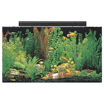 SeaClear Acrylic Aquarium Combo Cobalt