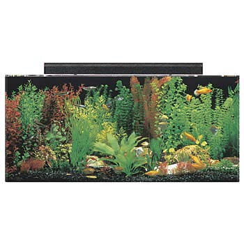 SeaClear Acrylic Aquarium Combo Cobalt