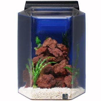 SeaClear Acrylic Aquarium Combo Cobalt