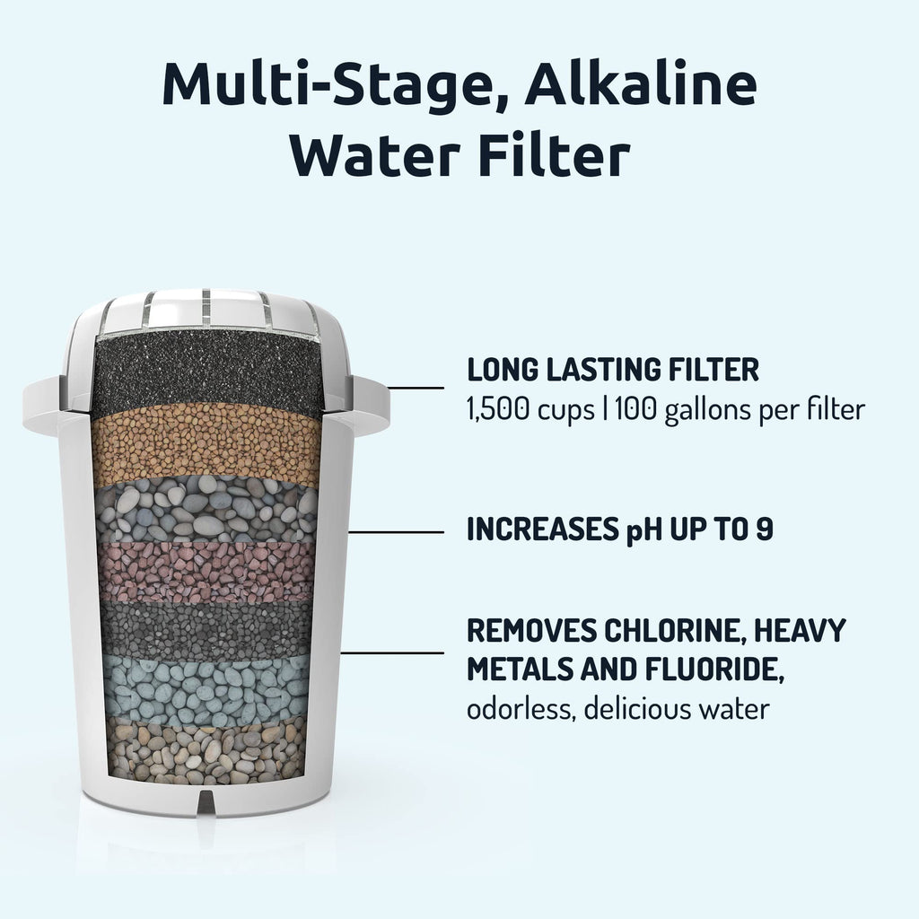 Recharge Alkaline Water Filter Ionizer