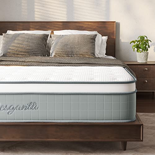 Vesgantti Mattresses Mattress Innerspring Pressure