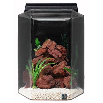 SeaClear Acrylic Aquarium Combo Cobalt