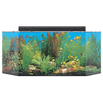 SeaClear Acrylic Aquarium Combo Cobalt