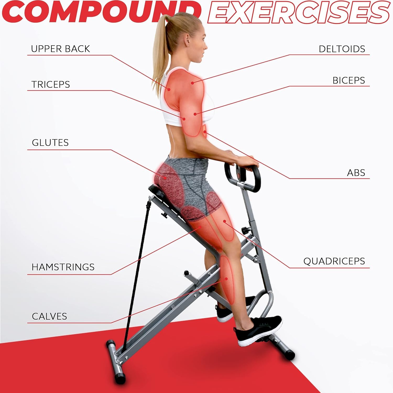 Sunny Health Fitness Row N Ride Adjustable