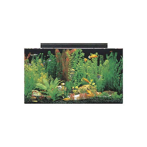 SeaClear Acrylic Aquarium Combo Cobalt