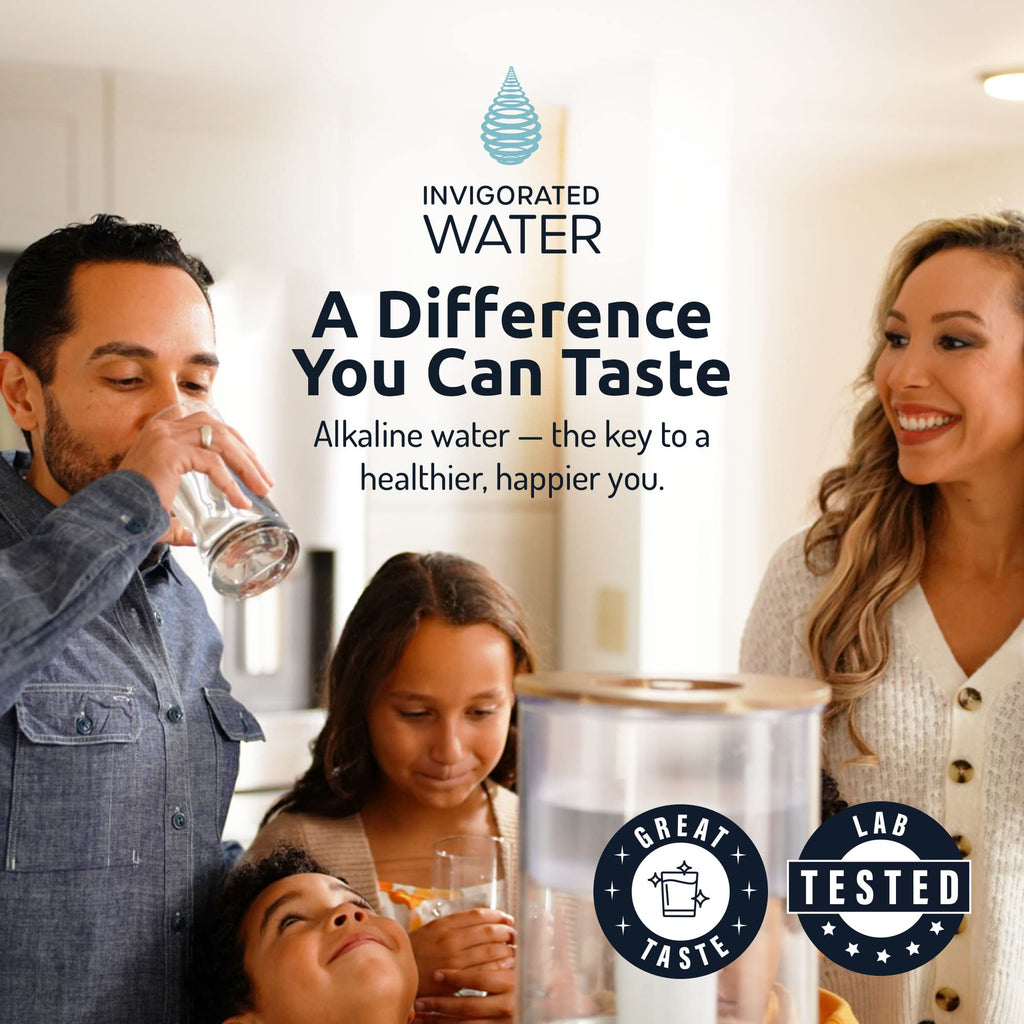 Recharge Alkaline Water Filter Ionizer