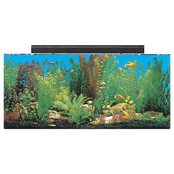 SeaClear Acrylic Aquarium Combo Cobalt