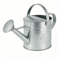 Sherlynaugus 1 Gallon Galvanized Steel Watering Can with Removable Spout