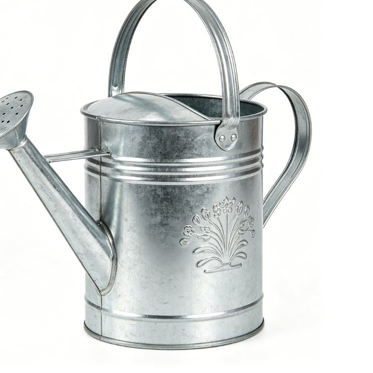 Sherlynaugus 1 Gallon Galvanized Steel Watering Can with Removable Spout