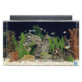 SeaClear Acrylic Aquarium Combo Cobalt