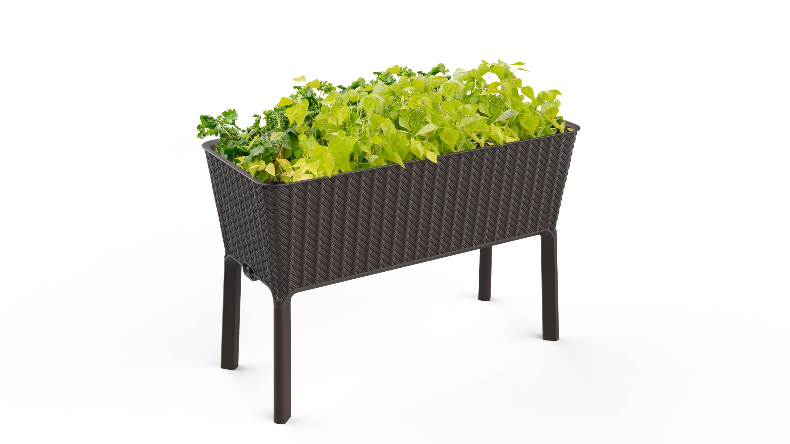 Keter Splendor Gallon Raised Garden