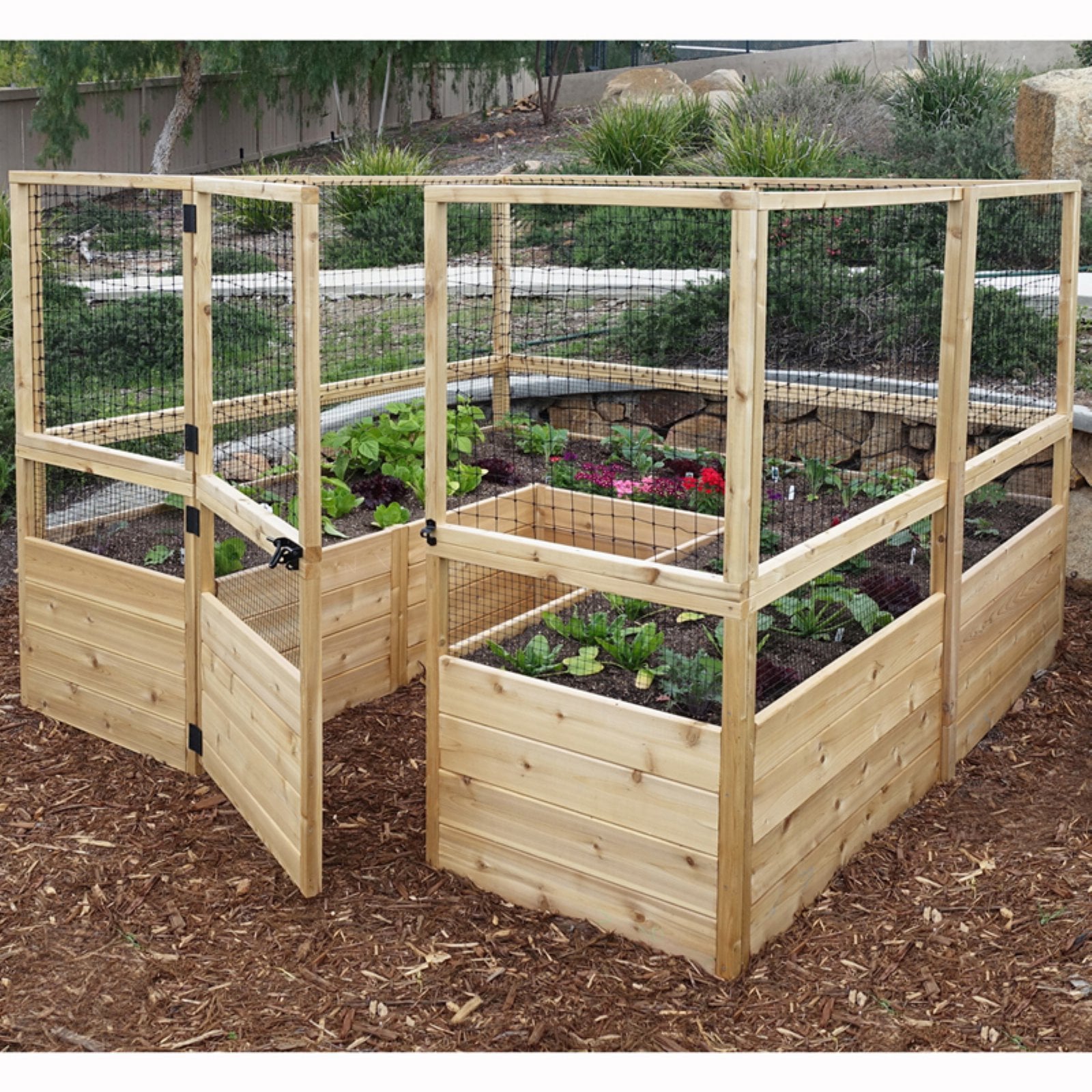 Outdoor Living Today 8x8-Foot Raised Cedar Garden Bed with Deer Fencing