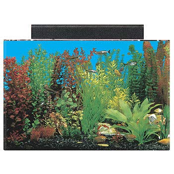 SeaClear Acrylic Aquarium Combo Cobalt